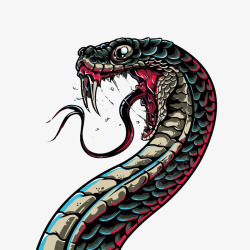 蛇PNG图毒蛇矢量图高清图片