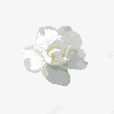 白色浪漫花朵手绘茉莉图标图标