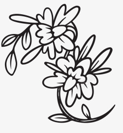 手绘线条花卉素材