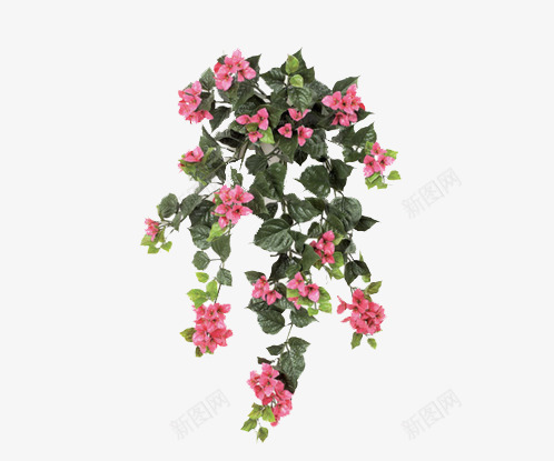 花簇花环png免抠素材_88icon https://88icon.com 公园 园林 植物 花环 花簇