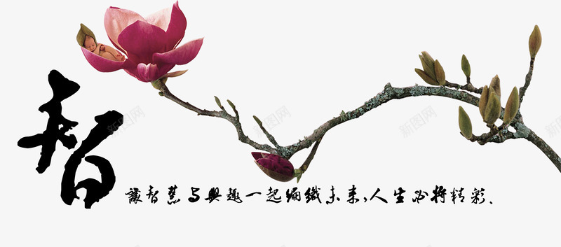 中国风创意智慧植物插画png免抠素材_88icon https://88icon.com PNG 中国风 创意 智慧植物 花卉