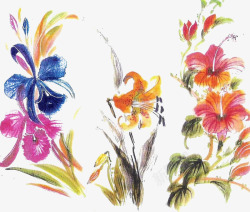 中世纪油墨画手绘花卉高清图片
