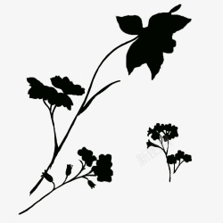 黑色的简洁风花朵装饰背景素材