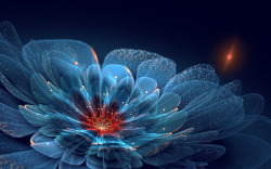 透明蓝色花瓣花卉海报背景素材