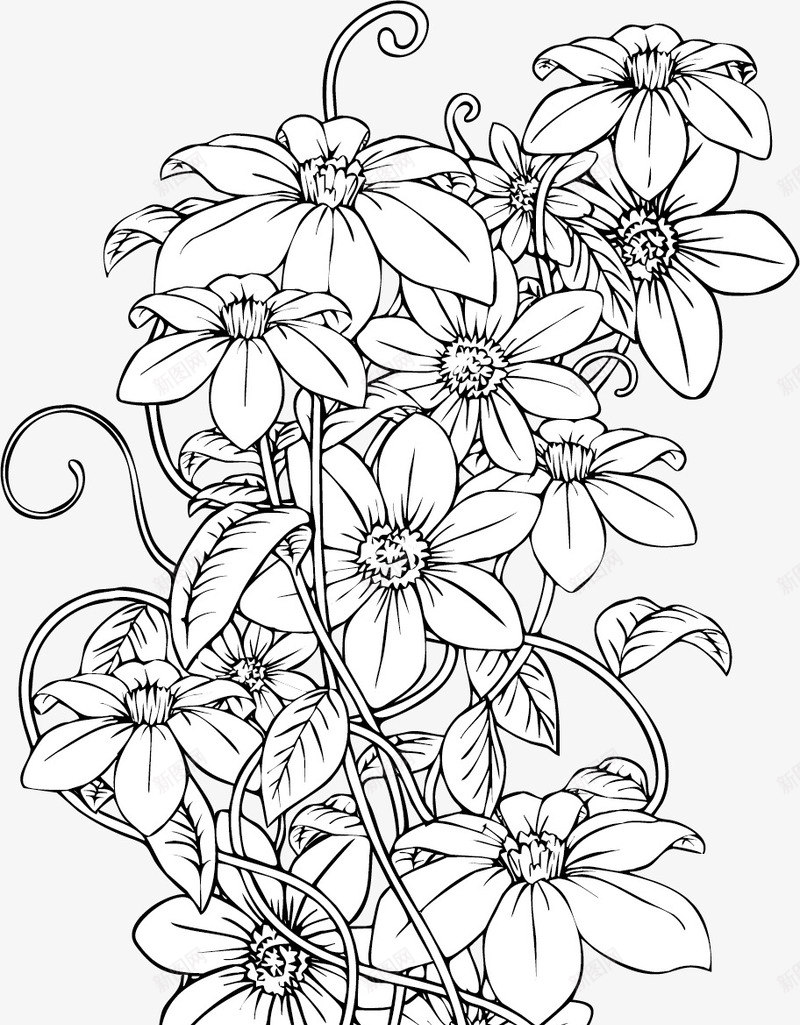 白描花卉时尚装饰图案png图片免费下载-素材bnrbqmnm-88ICON
