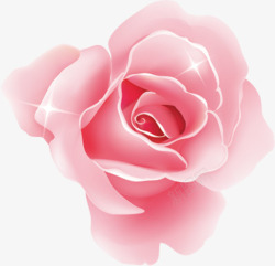 粉色浪漫唯美花朵星光素材