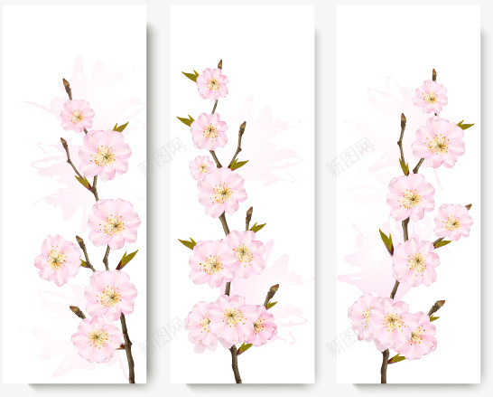 三枝粉色重瓣樱花png免抠素材_88icon https://88icon.com 叶芽 樱花 粉色 花朵