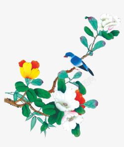 白茶花油墨茶花高清图片
