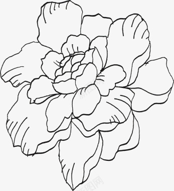 线描线描花朵图标图标