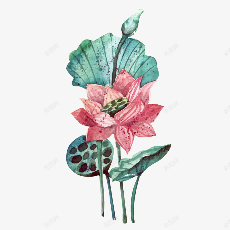 水彩绘荷花和荷叶矢量图ai免抠素材_88icon https://88icon.com 彩绘 手绘 植物 水粉 矢量图 竹子荷花荷叶满池塘 花卉 荷叶 荷花 装饰