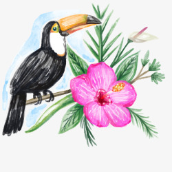 手绘大嘴鸟水彩绘大嘴鸟和花卉矢量图高清图片