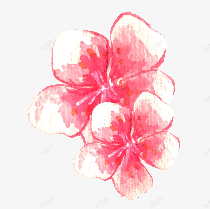 水彩手绘桃花花朵花瓣元素矢量图ai免抠素材_88icon https://88icon.com 手绘 桃花花朵花瓣 水彩 水彩桃花 漂亮的 粉红色 花卉 鲜艳的 矢量图