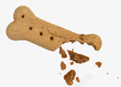 棕色可爱动物的食物碎掉的骨头狗素材