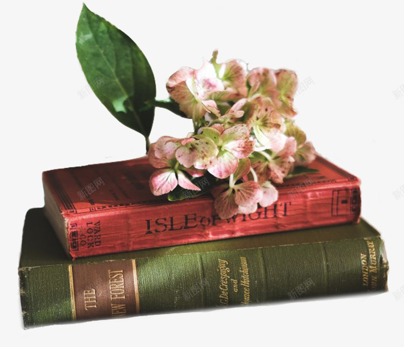 欧美古典花朵png免抠素材_88icon https://88icon.com 书本 古典 叶子 欧美 花朵 英文