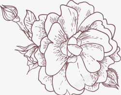 创意手绘素描花卉植物素材