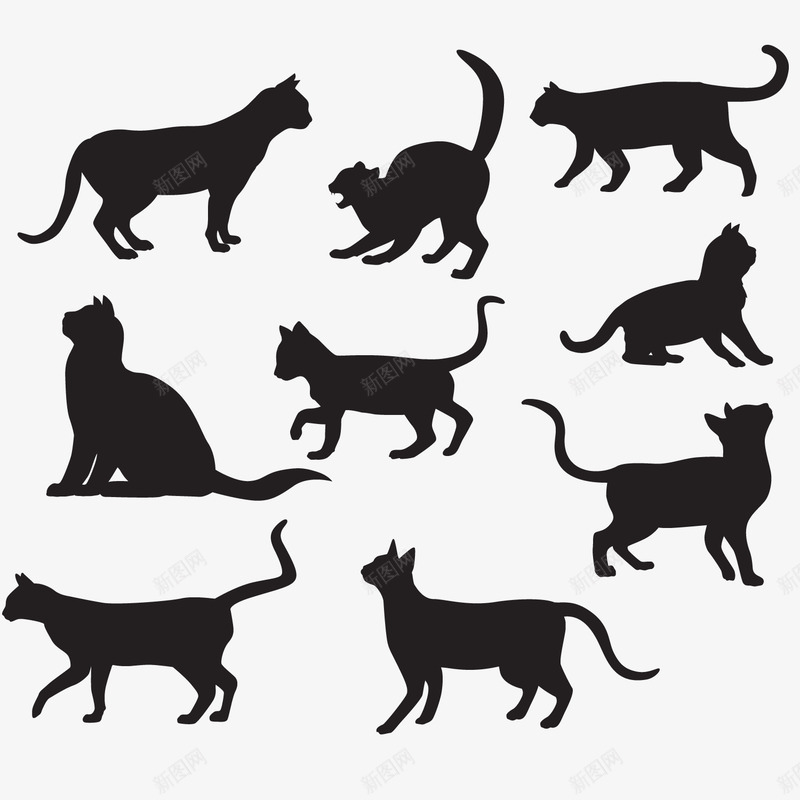 宠物猫剪影png免抠素材_88icon https://88icon.com 剪影 动物 宠物 猫