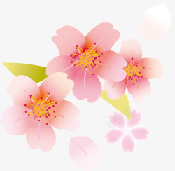 樱花花瓣元素素材