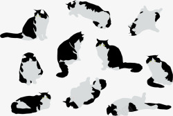 黑白猫咪素材