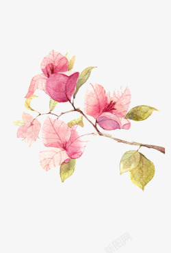 粉色中国风花卉素材