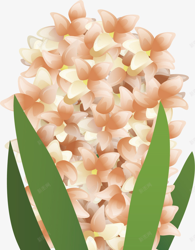 香槟色风信子png免抠素材_88icon https://88icon.com 植物盆栽 盆栽 矢量png 美丽花卉 风信子 香槟色