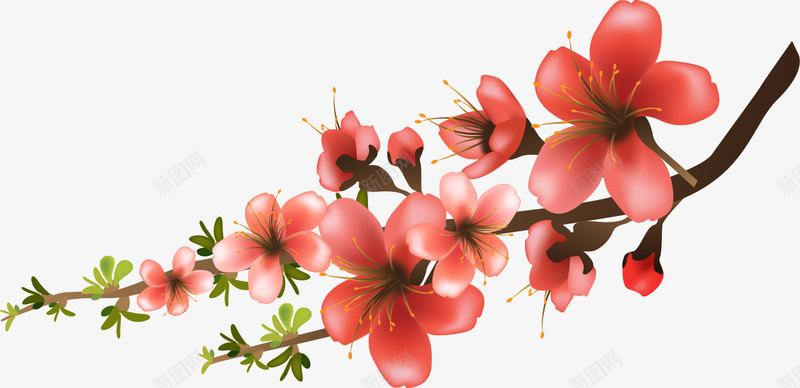 手绘花朵和树枝png免抠素材_88icon https://88icon.com 手绘 树枝 梅花 植物 樱花 花朵