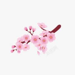 樱花花纹淡粉色素材
