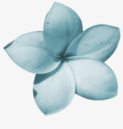 幽蓝植物鲜花边框植物花卉蓝高清图片