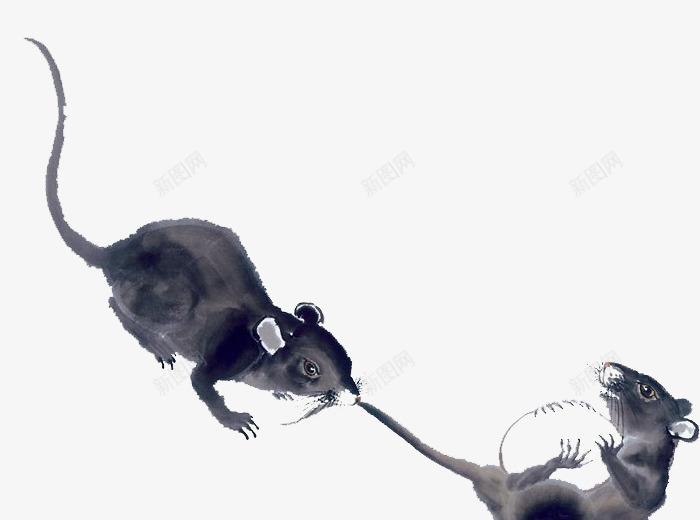 两只老鼠水墨绘画png免抠素材_88icon https://88icon.com 中国风 动物 水墨画 老鼠 黑白绘画