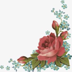 欧美花瓣素材