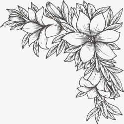 手绘黑白花卉素材