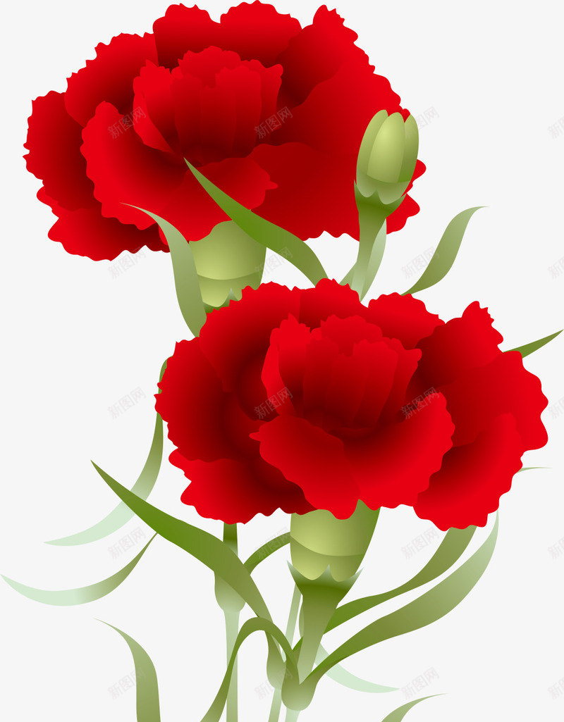 红色美丽母亲节康乃馨png免抠素材_88icon https://88icon.com 妈妈 康乃馨 母亲节 母亲节快乐 母爱 鲜花