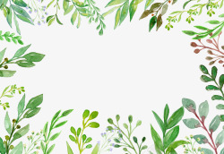 绿色夏日植物手绘边框素材