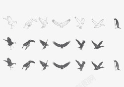 3种效果线稿黑白鸟类动物矢量图素材