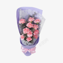 母亲节康乃馨素材