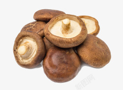 棕褐色背景鲜香菇摄影高清图片