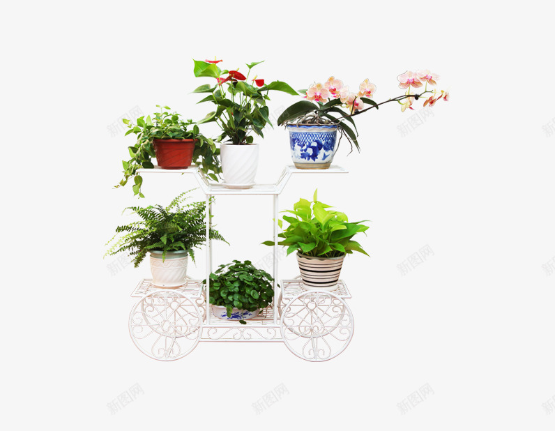 花架实物png免抠素材_88icon https://88icon.com 产品图 盆栽 花架 花车 鲜花