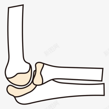 卡通手指插画骨头关节形状图标图标