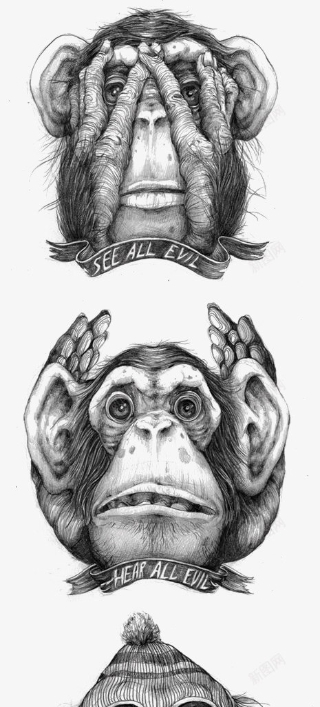 猴子png免抠素材_88icon https://88icon.com 动物 大猩猩 猴子头像 素描猴子