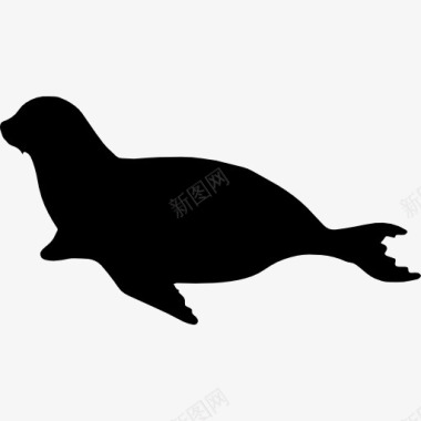 海狮哺乳类动物形状图标图标