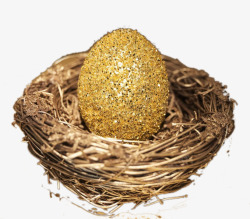 创意鸟巢中的植物钱币创意鸟巢中的金蛋高清图片