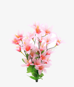 花瓶里簇拥的桃花枝素材