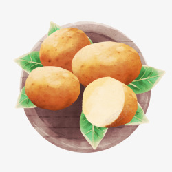 新鲜土豆水彩插画素材