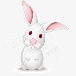 白色大耳兔矢量图素材