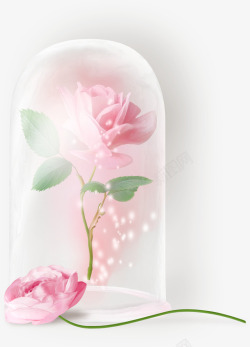 粉色花枝漂亮透明瓶子素材