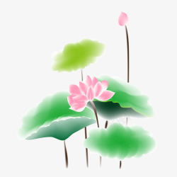 水彩绘绿色薄荷粉色荷花植物高清图片