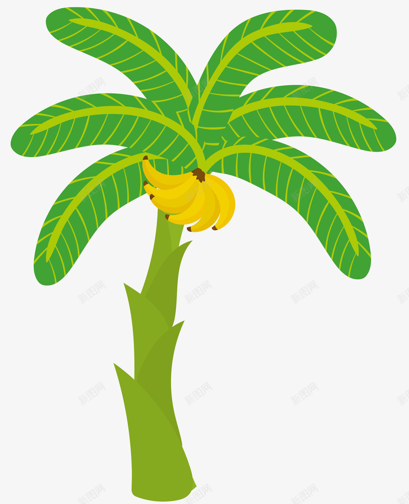 树干卡通风格香蕉树png免抠素材_88icon https://88icon.com 卡通 卡通风格 卡通香蕉树 果树 树干 热带香蕉树 矢量香蕉树