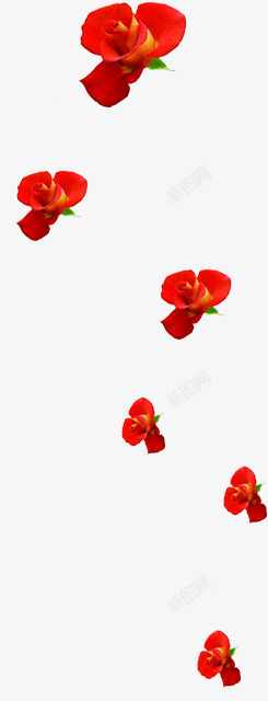 红色手绘鲜花花朵美好玫瑰素材