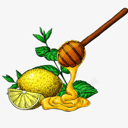 蜂蜜和柠檬手绘插画矢量图素材