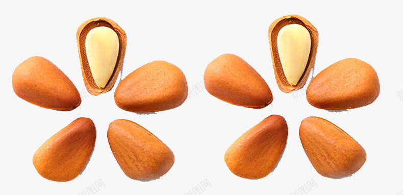 排列成花瓣形状的松子png免抠素材_88icon https://88icon.com 坚果海报 开口松子 松子排列 松子海报创意