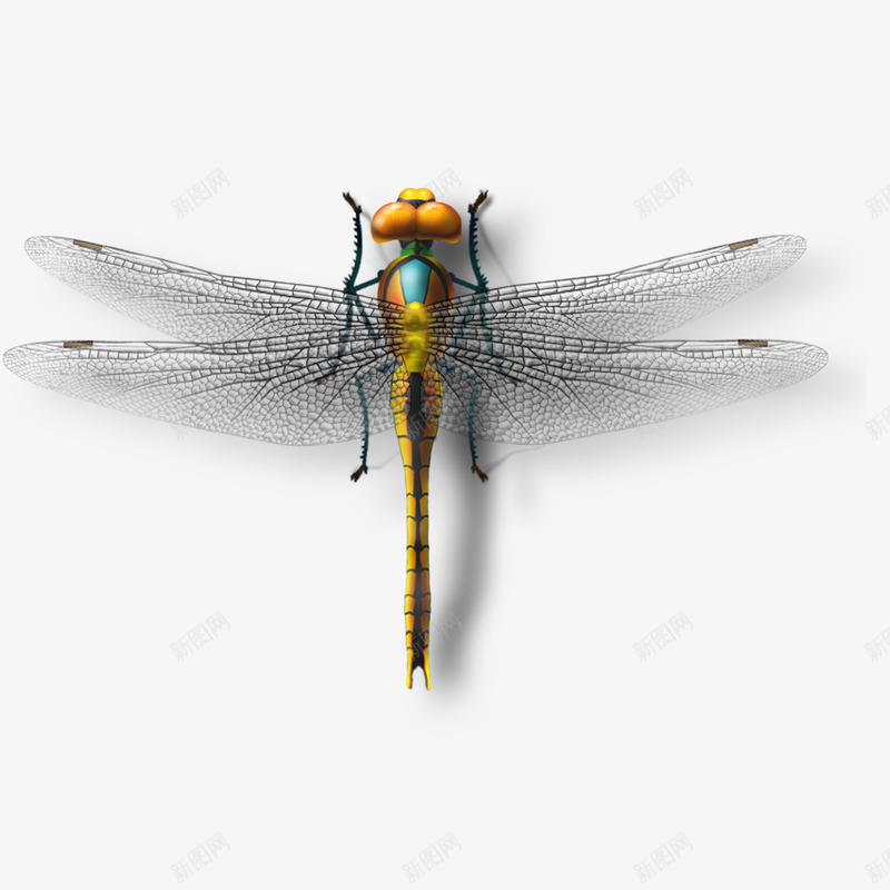 蜻蜓模型png免抠素材_88icon https://88icon.com 夏天 昆虫 模型 蜻蜓